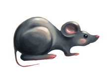 grey mouse 2